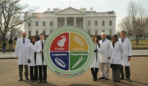 צילום של רופאים ודיאטנים באמריקה מחזיקים בהדפס גרפי של צלחת המזון החדשה