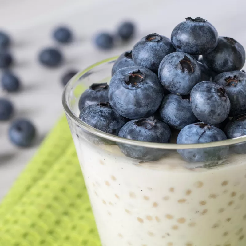 קינוח טפיוקה קר בכוס זכוכית עם ערמה של אוכמניות טריות מעל