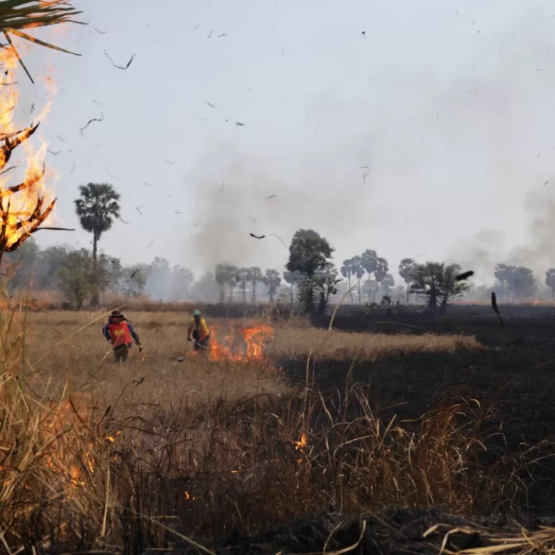 שדה עולה באש